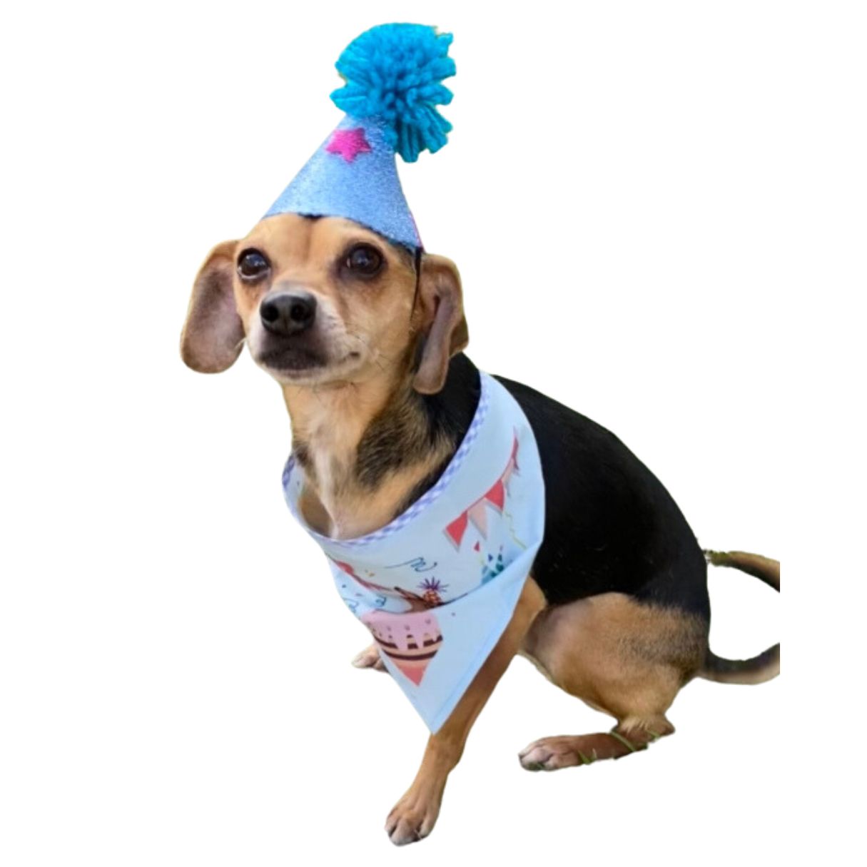Bandana de cumpleaños