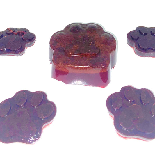 Gelatina Artesanal para Perros: Snack Hidratante y Nutritivo | Brownie