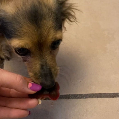 Gelatina para perro sabor hígado-betabel