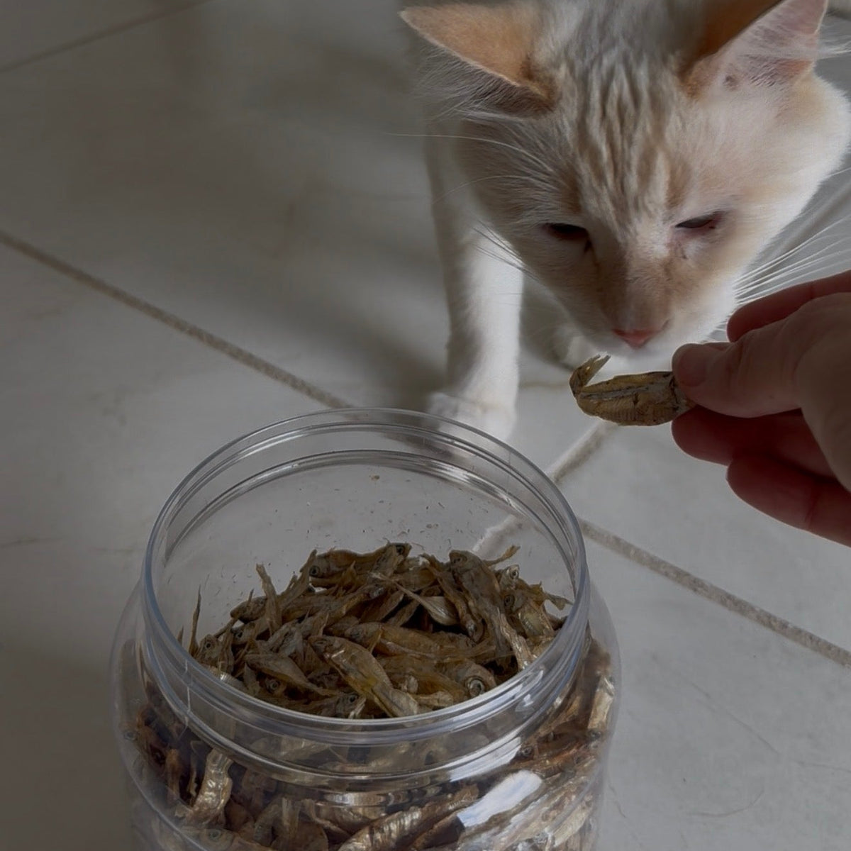 Charales Deshidratados para Perros y Gatos