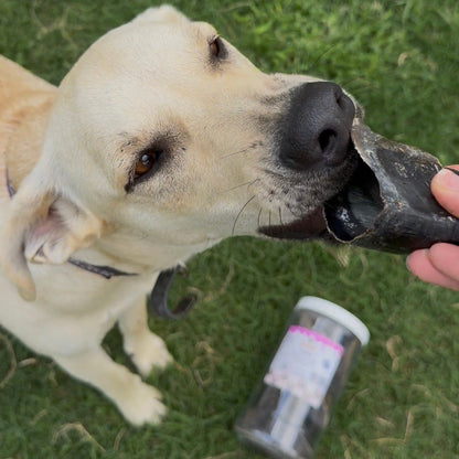 Pezuña de Res Deshidratada para Perros