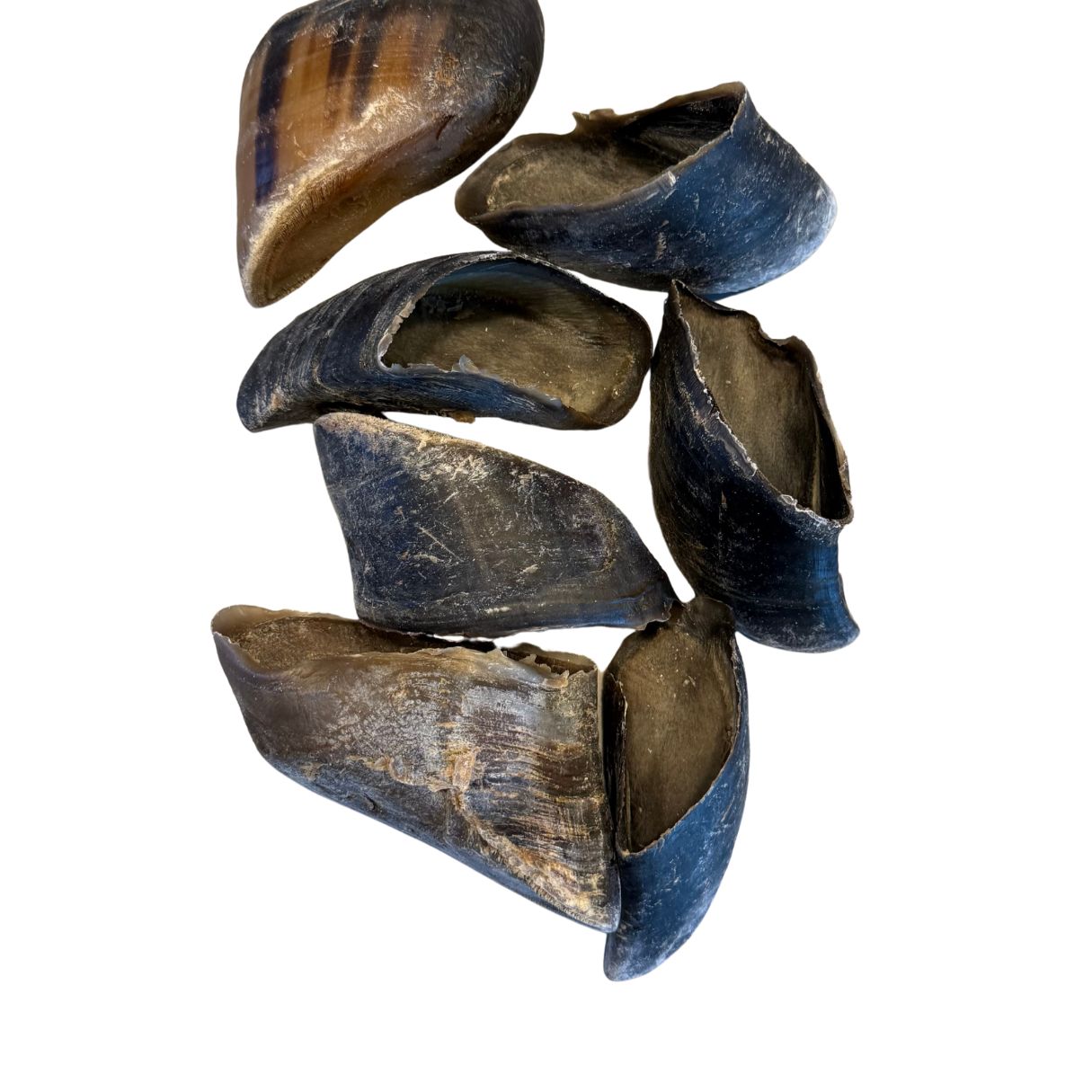 Pezuña de res deshidratada 10 piezas