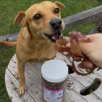 Tráqueas de Res Deshidratadas para Perros